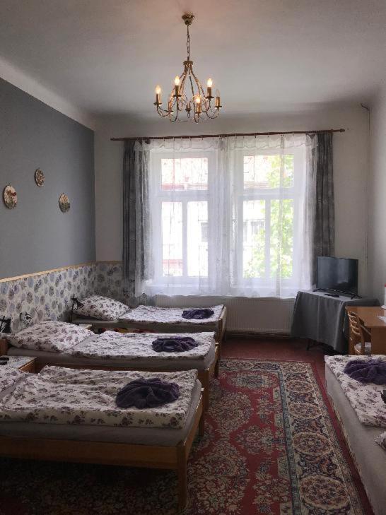 Penzion Rajf Krnov Bagian luar foto